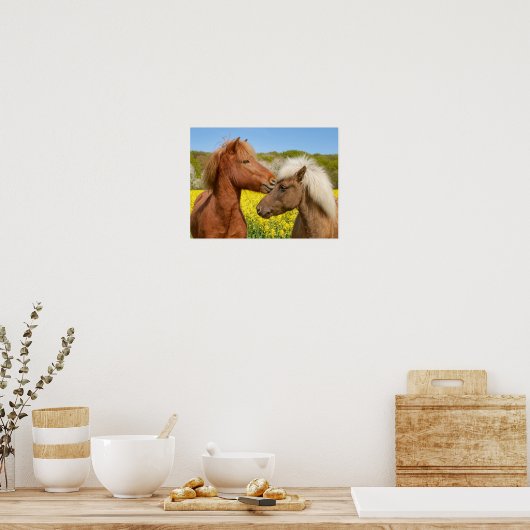 Poster Cute islandaise Horses Cuddle dans une prairie pri (Cuisine)