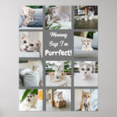 Poster Cute Je suis Purrfect Chat Photo Collage Gris (Devant)