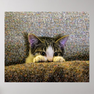 Poster Cute Kitten Photo Mosaic.