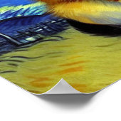 Poster Cute Kitten Starry Night Van Gogh (Coin)