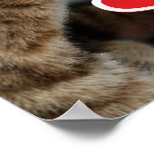 Poster Cute kittens (Coin)