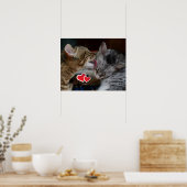Poster Cute kittens (Cuisine)