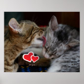 Poster Cute kittens (Devant)