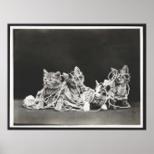 Poster Cute Kittens Tangé Dans L'Art Du Fer Imprimer (Devant)