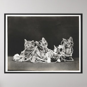 Poster Cute Kittens Tangé Dans L'Art Du Fer Imprimer