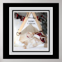 Cute Kitties Merry Catmas Christmas Canvas 