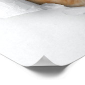 Poster Cute kitty (Coin)