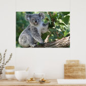 Poster Cute koala australien (Cuisine)