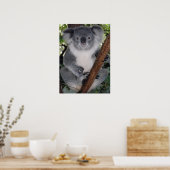 POSTER CUTE KOALA BEAR (Cuisine)