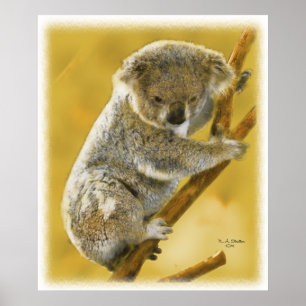 Poster Cute...Koala Bear...Poster et imprimer!