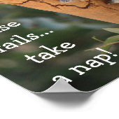 Poster Cute Koala Bear, when all else fails take a nap (Coin)