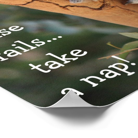 Poster Cute Koala Bear, when all else fails take a nap (Coin)