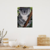 Poster Cute Koala Destiny Zazzle Aussi Outback (Cuisine)