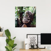 Poster Cute Koala Ours se relaxant dans un arbre (Bureau à domicile)