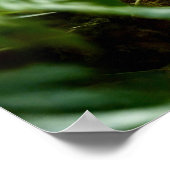 Poster Cute Koala Ours sur un arbre (Coin)