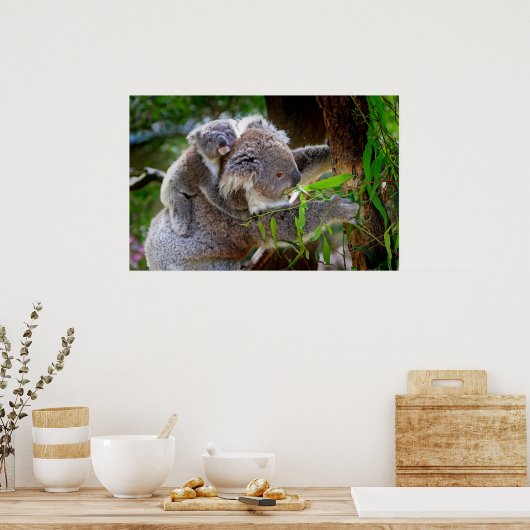 Poster Cute Koalas (Cuisine)