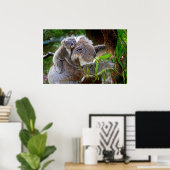 Poster Cute Koalas (Bureau à domicile)