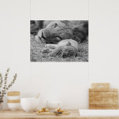 Poster Cute Lion Cub Repose Avec Le Père (Cuisine)