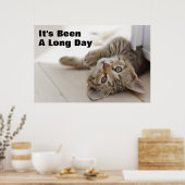 Poster Cute Little Kitten (Cuisine)