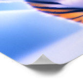 Poster Cute Little Tiger Cub (Coin)