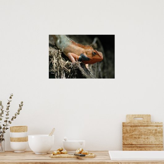 Poster Cute Lizard (Cuisine)