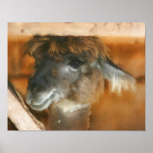 Poster Cute Llama Visage Art Animal de ferme (Devant)