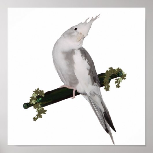 Poster Cute Lutino Cockatiel Bird Ivy Perch Animal (Devant)
