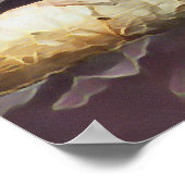 POSTER CUTE MACAW (Coin)