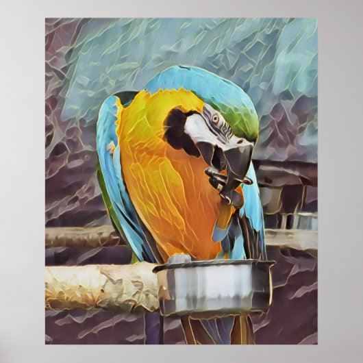 POSTER CUTE MACAW (Devant)