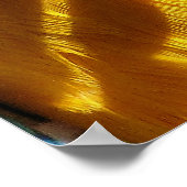 POSTER CUTE MACAW (Coin)