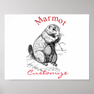 Poster Cute Marmot Animal Thunder_Cove