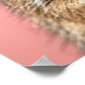 Poster Cute Meerkat avec lunettes et pizza (Coin)