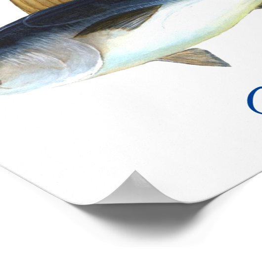 Poster Cute Mermaid à queue rose Thunder_Cove (Coin)