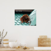 Poster Cute Orangutan dans la jungle de Sabah Borneo (Cuisine)