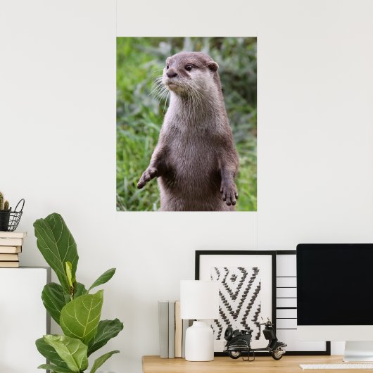 Poster Cute Otter (Bureau à domicile)