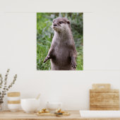 Poster Cute Otter (Cuisine)