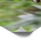 Poster Cute Otter debout (Coin)