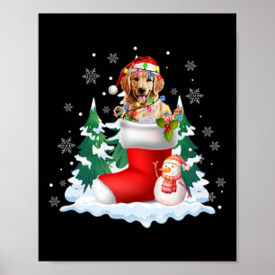 Poster Cute Père Noël Golden Retriever Dans Chaussettes d