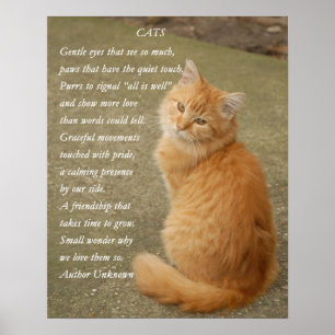 Poster Cute Poem Orange Kitten Cat
