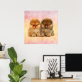 Poster Cute Pomeranian Allemand Spitz Puppies (Bureau à domicile)