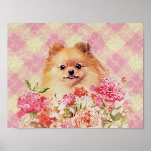 Poster Cute Poméranian German Spitz with Flowers (Devant)
