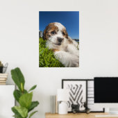 Poster Cute puppy dog (Bureau à domicile)
