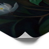 Poster Cute Raccoon (Coin)