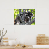 Poster Cute Raccoon dans un arbre (Cuisine)
