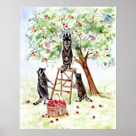 Poster Cute Raccoons dans Apple Orchard (Devant)