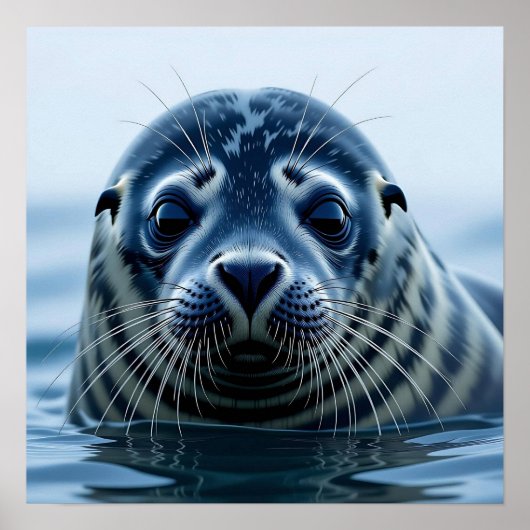 Poster Cute Seal Close up (Devant)