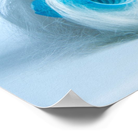 Poster Cute Shih Tzu (Coin)