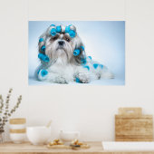 Poster Cute Shih Tzu (Cuisine)