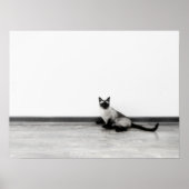 Poster CUTE Siamese Portrait de chat (Devant)