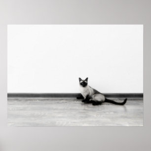 Poster CUTE Siamese Portrait de chat